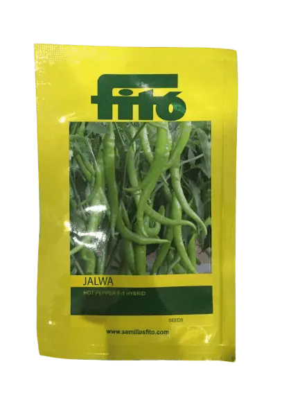 Fito Jalwa F1 Hybrid Chilli Pepper Seeds 1