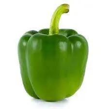 Fiza Green Sweet Pepper Seeds – Known You F1 Hybrid 1