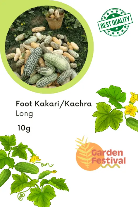 Foot Kachari (Long-Fruit Kakri) Seeds – Garden Festival 1