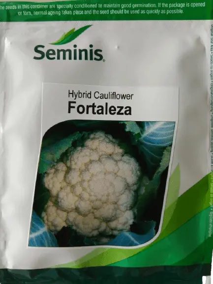 Fortaleza F1 Cauliflower Seeds – Heat-Tolerant Hybrid (Seminis) 1