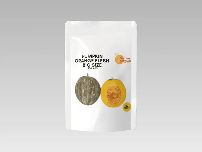Garden Festival Giant Pumpkin – 10 Kg Variety With Orange-Yellow Flesh 1