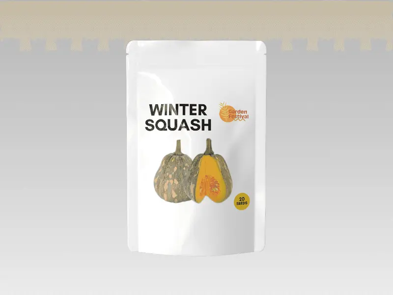 Garden Festival Winter Squash – Premium Hybrid For Storage & Flavor 1