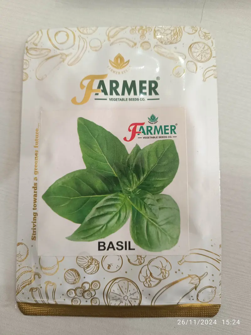 Genovese Basil Seeds – Aromatic Green Culinary Herb 1