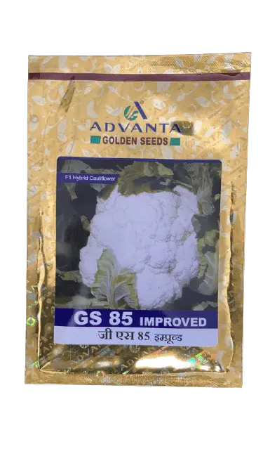 Gs 85 Improved F1 Cauliflower Seeds – Advanta Early-Curding Hybrid 1