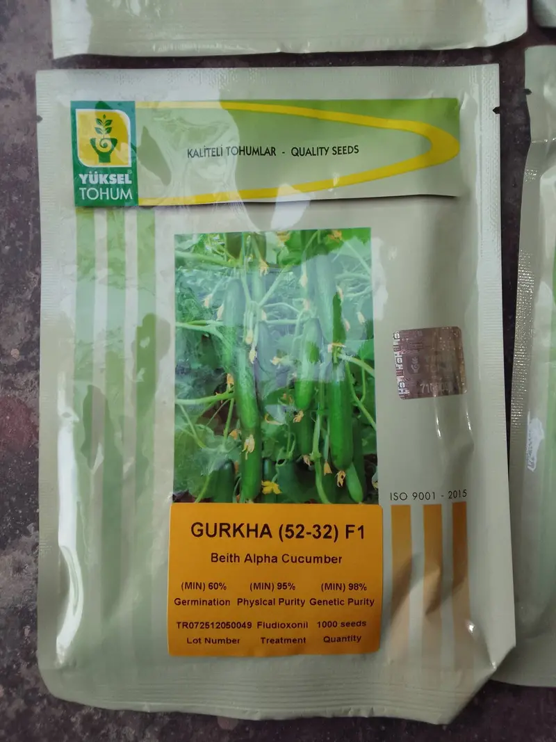 Gurkha F1 Parthenocarpic Cucumber Seeds (Yuksel) 1