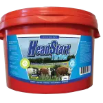 Headstart Thriver Animal Feed Bucket – 30 Kg Capacity 1