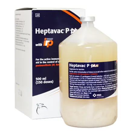 Heptavac P Plus Veterinary Vaccine 1