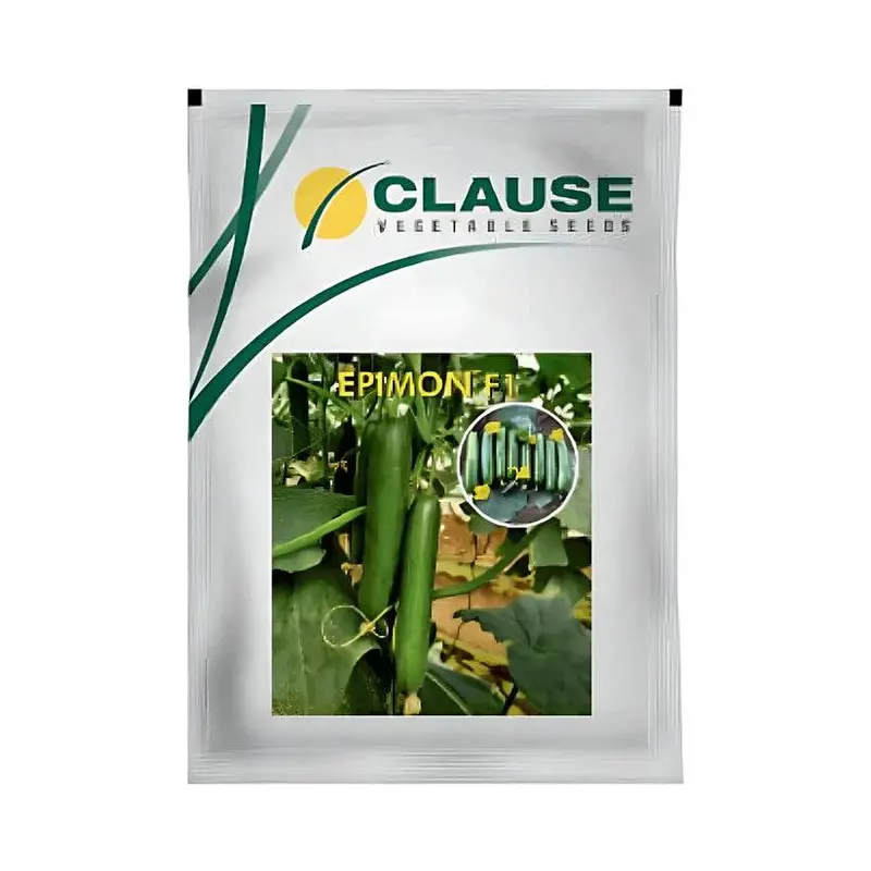 Hm Clause Epimon F1 Cucumber – Polyhouse-Optimized Hybrid 1