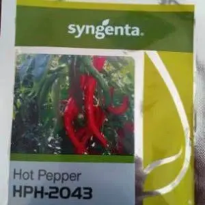 Hph-2043 F1 Chilli Seeds – High-Pungency Hybrid For Commercial Growers (Syngenta) 1