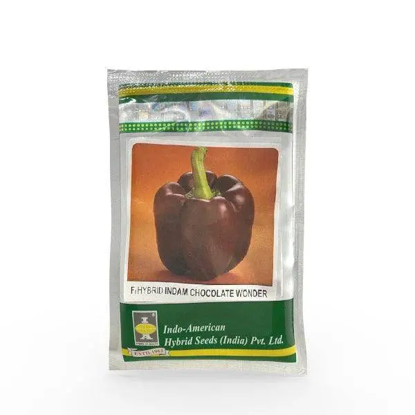 Indam Chocolate Wonder Capsicum Seeds – Brown-Fruited F1 Bell Pepper By Indo American 1