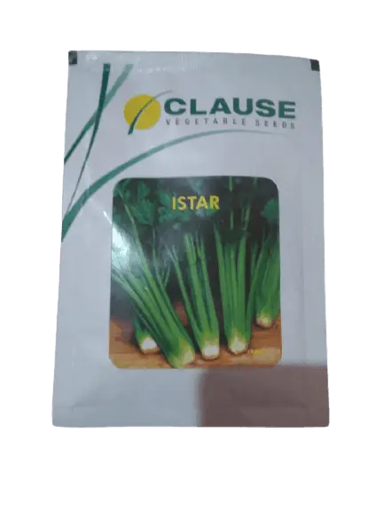 Istar Celery Seeds – Clause Premium F1 Hybrid For Upright Stalks And High Yield 1