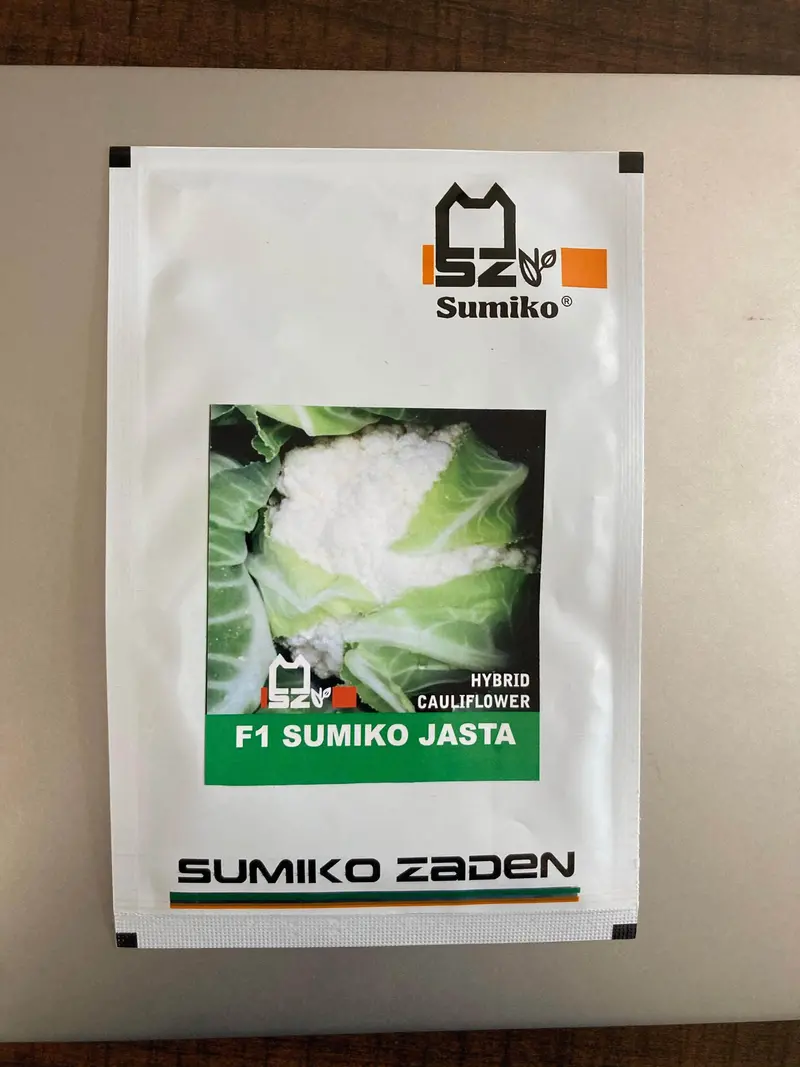 Jasta F1 Hybrid Cauliflower Seeds – Early Maturity & Compact Curds – Sumiko Seeds 1