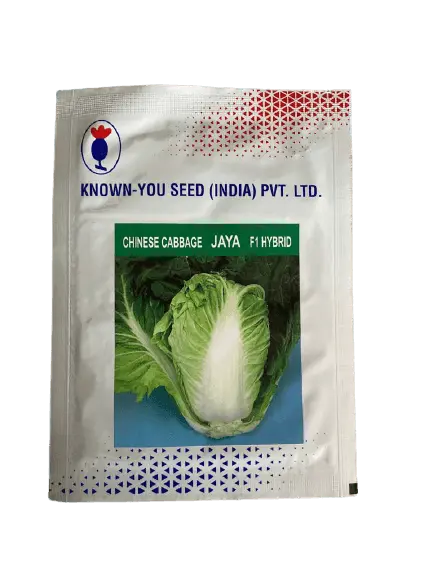 Jaya F1 Chinese Cabbage Hybrid Seeds – Known-You Variety 1