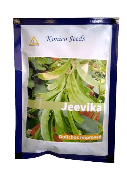 Jeevika Improved Dolichos Bean Seeds – Konico Seed India Farming Grade 1