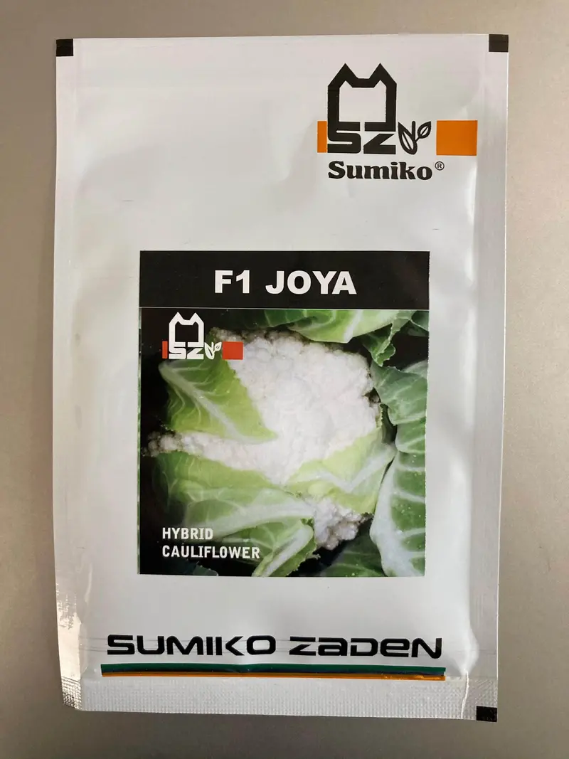 Joya F1 Hybrid Cauliflower Seeds – Heat-Tolerant & High-Yielding – Sumiko Seeds 1