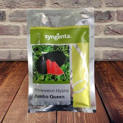 Jumbo Queen F1 Watermelon – High-Yield, Sweet Hybrid From Syngenta 1