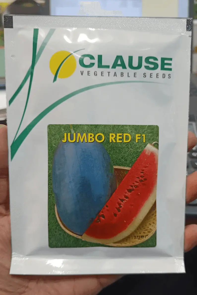 Jumbo Red F1 Watermelon – Extra-Large, Sweet, Picnic-Style (Clause Seeds) 1