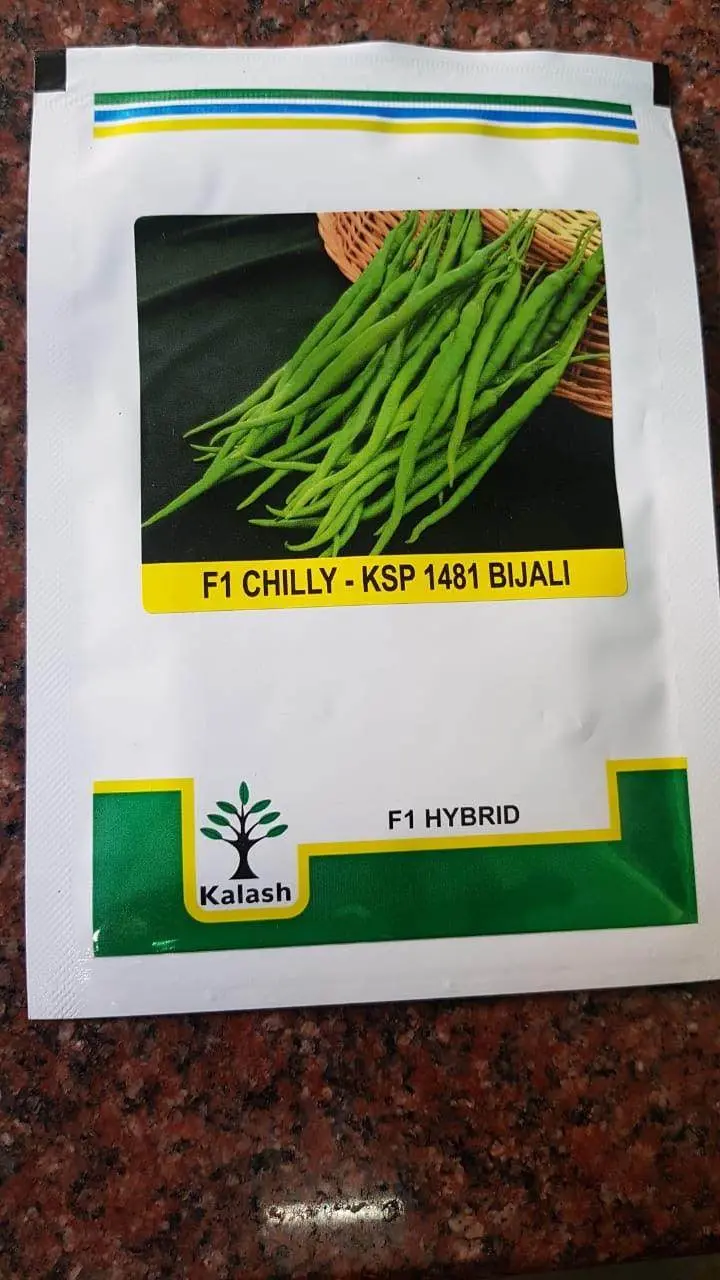 Kalash Ksp 1481 F1 Hybrid Chili Pepper Seeds 1