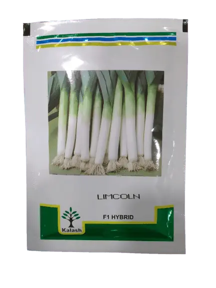 Kalash Limcoln Leek Spring Bunching Onion Seeds 1