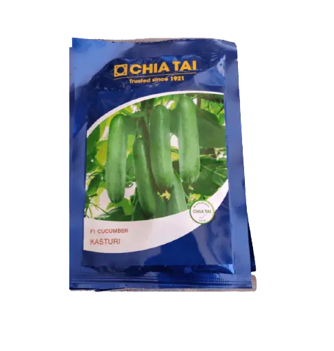 Kasturi F1 Cucumber Hybrid Seeds (Chia Tai) 1