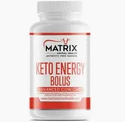 Keto Energy Bolus – Rapid-Release Bovine Ketosis Support 1
