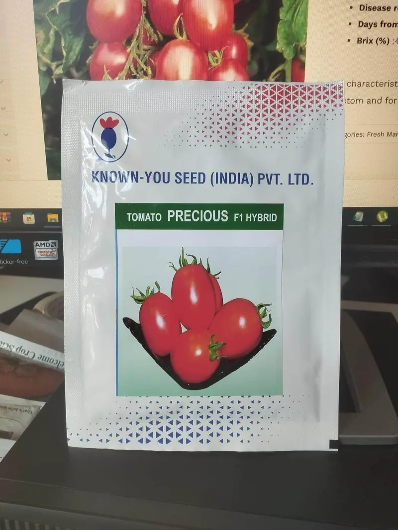 Known You Precious F1 Tomato – Fusarium Wilt Resistant 1