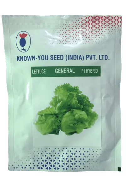 Known You Seeds General Lettuce F1 Hybrid 1