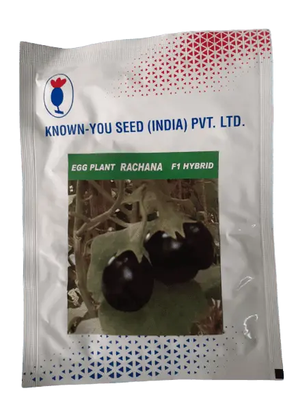 Known You Seeds Rachana F1 Hybrid Eggplant 1