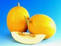 Kohinoor Muskmelon Seeds – Known You Premium F1 Variety 1