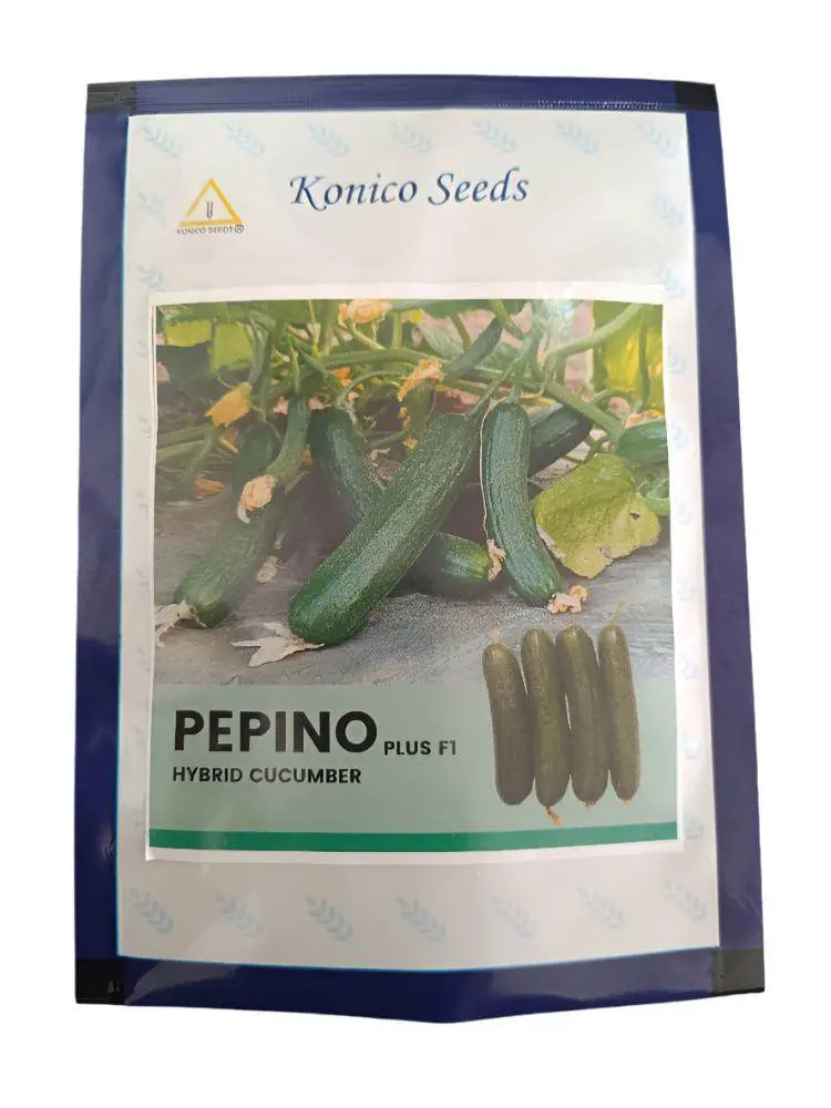 Konico Pepino Plus F1 Cucumber – Multi-Fruit Bearing, Vigorous Hybrid 1