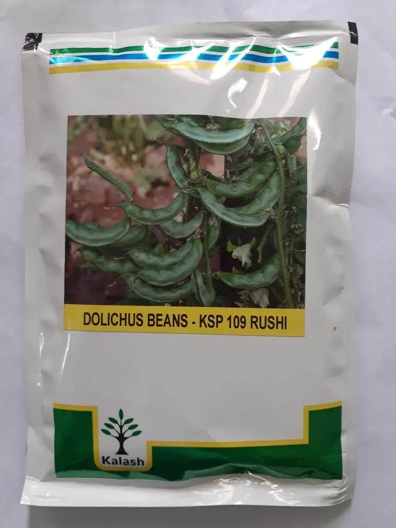 Ksp-109 Rushi Dolichos Bean Seeds – Vigorous Vine & Podded Yield – Kalash Seeds 1