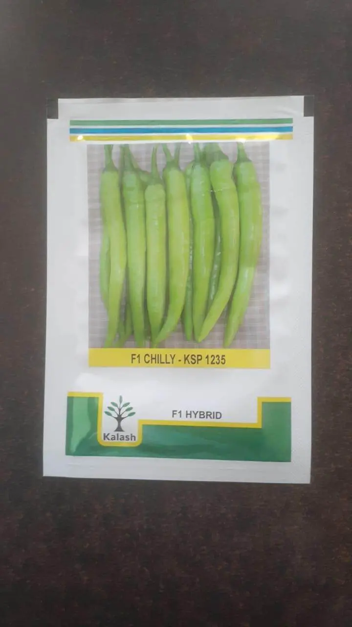 Ksp 1235 F1 Chilli Seeds – High-Yield Hybrid From Kalash Seeds 1