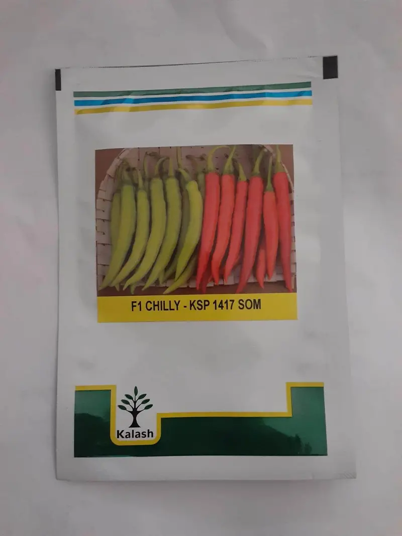 Ksp-1417 Som F1 Hybrid Chilli Seeds – Bold Fruit & Excellent Shelf Life – Kalash Seeds 1