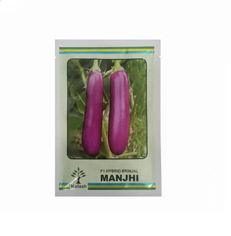 Ksp-1421 Manjhi F1 Purple Long Eggplant Seeds – Kalash Hybrid 1