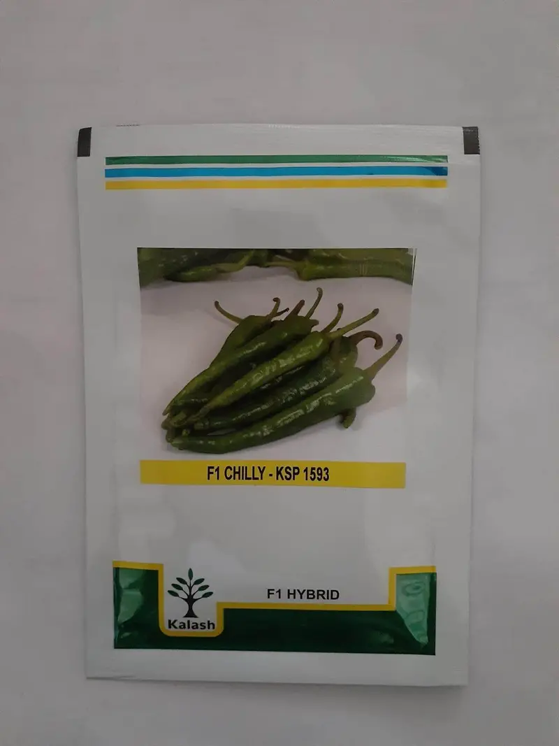 Ksp-1593 F1 Hybrid Chilli Seeds – High-Capsaicin, Disease-Resistant – Kalash Seeds 1