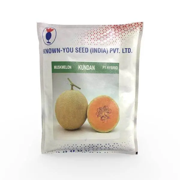 Kundan Muskmelon Seeds (Known You) 1