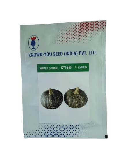 Kyi-850 F1 Winter Squash Small-Pack Seeds (Known You) 1