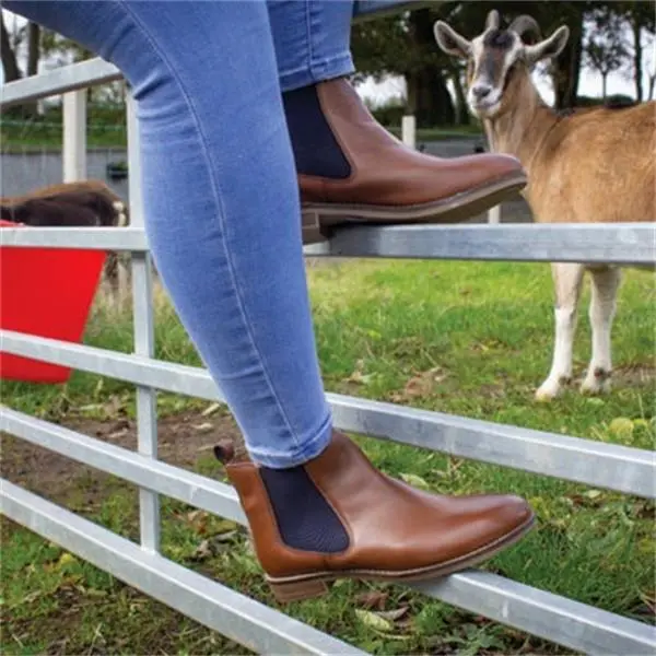 Ladies’ Roamer Waterproof Riding Boot 1
