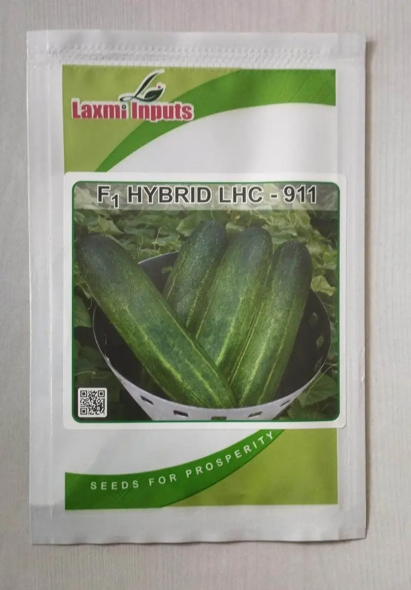 Lhc-911 F1 Cucumber – Vigorous, Gynoecious Hybrid (Laxmi Inputs) 1