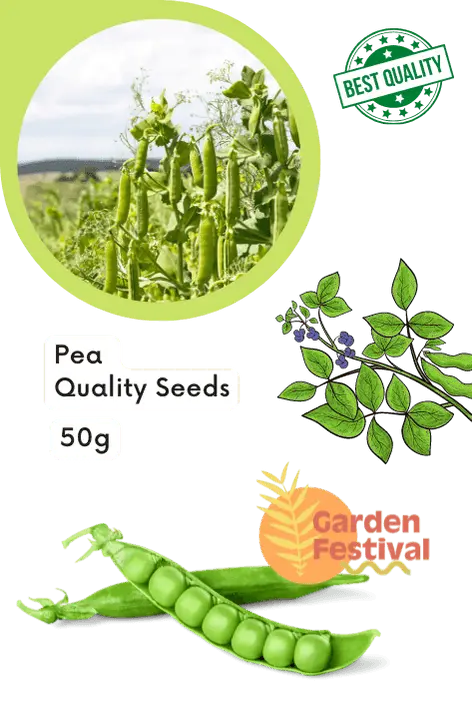 Long-Pod Pea Seeds – Premium Quality – Garden Festival 1