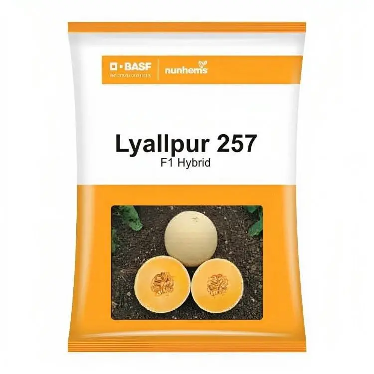 Lyallpur 257 F1 Muskmelon Seeds – Basf Nunhems High-Sweetness Variety 1