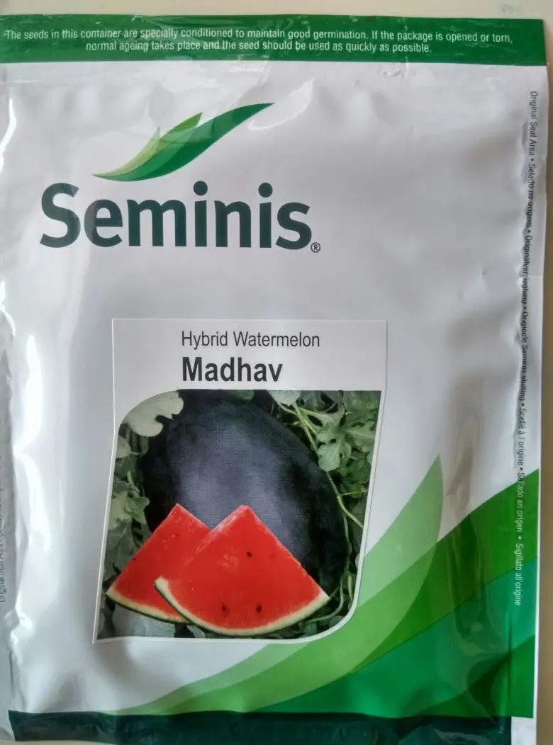 Madhav Hybrid Watermelon Seeds – Seminis 1