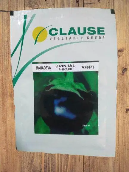 Mahadeva F1 Hybrid Brinjal Seeds – Clause High-Yield Cultivar 1
