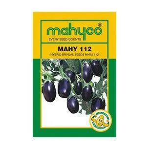 Mahy 112 Brinjal Seeds – F1 Hybrid – Mahyco 1