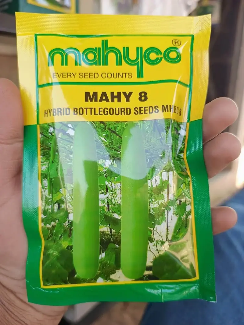Mahy 8 Bottle Gourd Seeds – F1 Hybrid – Mahyco 1