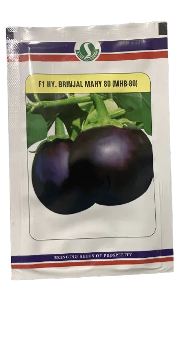 Mahy 80 F1 Brinjal Seeds – Vigorous Purple Hybrid (Sungro Seeds) 1