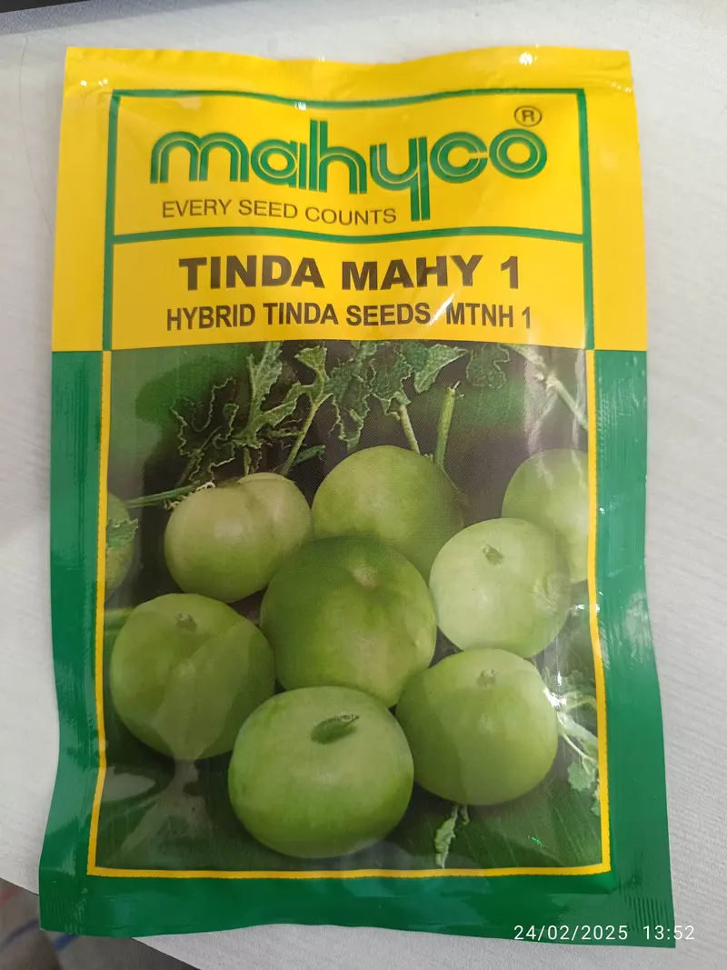 Mahyco Tinda Mahy 1 F1 Hybrid – Round Tinda Gourd Seeds 1