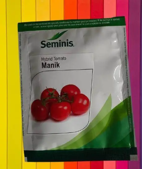 Manik F1 Hybrid Tomato Seeds – Seminis Premium Cultivar 1
