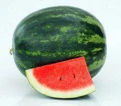 Mannat Icebox-Style Red-Flesh Watermelon – Known You Seeds 1