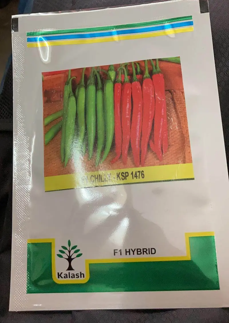 Mardani 1476 F1 Chilli – High-Yield, Pungent Hybrid – Kalash Seeds 1